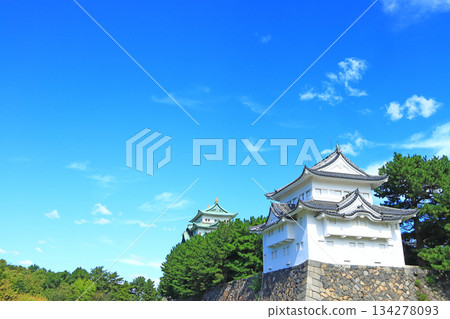 愛知縣名古屋市名古屋城景觀 134278093