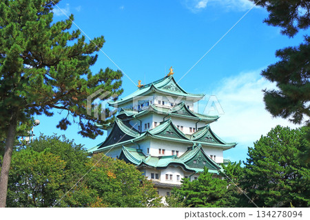 View of Nagoya Castle, Nagoya City, Aichi Prefecture 134278094