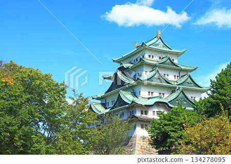View of Nagoya Castle, Nagoya City, Aichi Prefecture 134278095