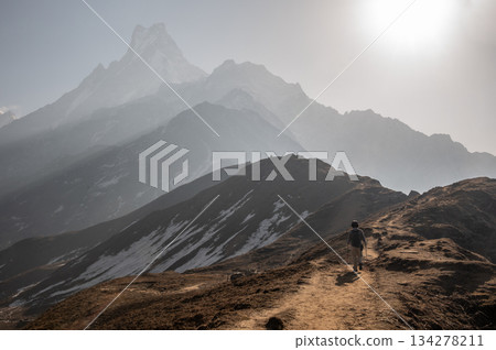 Tourist walking to Mardi Himal base camp with beautiful view of Mt.Machapuchare inthe background. 134278211