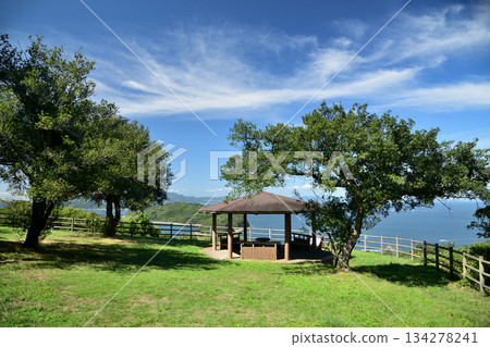 Miyama Battery Ruins (Azumaya) [Wakayama City, Wakayama Prefecture] 134278241
