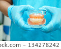 Asian dentist holding dental teeth model for learn about dentistry. 134278242