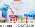 Scientist medical professional use test tube for research in science laboratory. 134278246