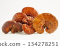 Lingzhi or Reishi mushroom with capsules, organic natural healthy food. 134278251