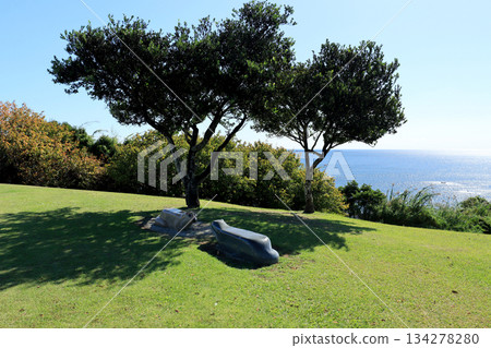 The horizon seen from the top of the hill 134278280