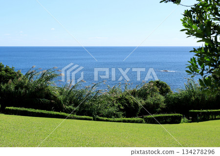 The horizon seen from the top of the hill 134278296