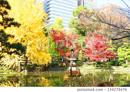 Autumn leaves in Hibiya Park Autumn leaves in Hibiya Park 134278476