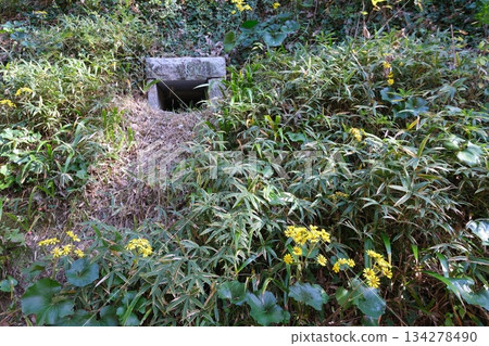 Historical site of draining sewage from Kyoto's Odoi Historical site of draining sewage from Kyoto's Odoi 134278490