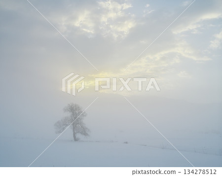 A lone tree stands in the snowy field of the Chikuma River filled with morning mist. A lone tree stands in the snowy field of the Chikuma River filled with morning mist. 134278512