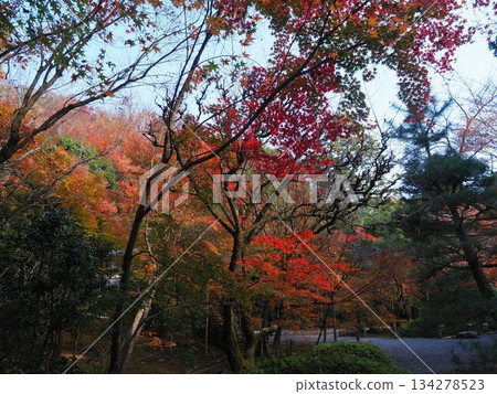 圓圓寺的秋天 圓圓寺的秋天 134278523
