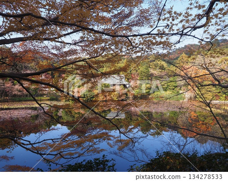 Autumn at Ryoanji Temple Autumn at Ryoanji Temple 134278533