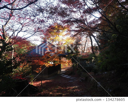 Autumn at Sagano Chokushian 134278605