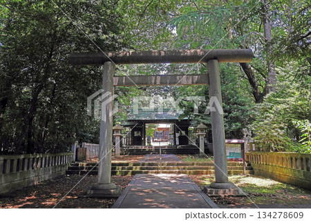 Nemura Hikawa Shrine (Itabashi) Nemura Hikawa Shrine (Itabashi) 134278609