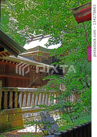 Nemura Hikawa Shrine (Itabashi) 134278663