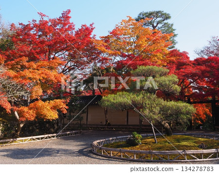 Sagano Nison-in Temple in autumn 134278783
