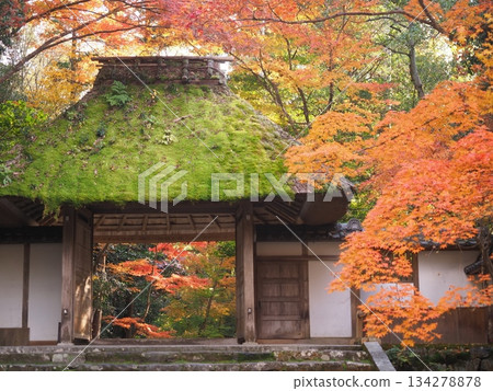 Autumn at Honen-in Temple in Kyoto Autumn at Honen-in Temple in Kyoto 134278878