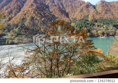 黑部鐵道：從電車上望去，鈷藍色的黑部川和秋色斑斕的山巒盡收眼底。 134279012