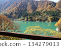 黑部鐵道：從電車上望去，鈷藍色的黑部川和秋色斑斕的山巒盡收眼底。 134279013