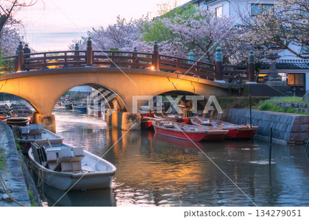 Punting boats at Suigo river and pink sakura at sunset, Yanagawa Punting boats at Suigo river and pink sakura at sunset, Yanagawa 134279051