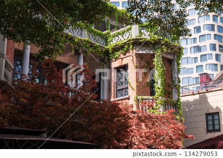 Brick building with red maple leaf and climber ivy plants at Xintiandi, Shanghai Brick building with red maple leaf and climber ivy plants at Xintiandi, Shanghai 134279053