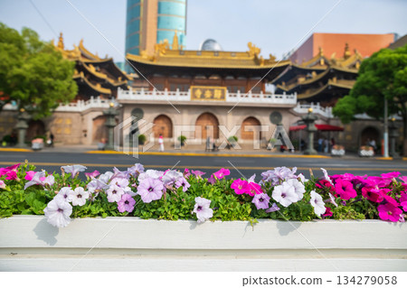 petunia flowers with blur Jingan temple in springtime, Shanghai 134279058