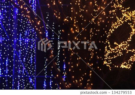 大型樹形裝飾進一步環繞著流動的「瀑布」 長民之森公園 2025 年燈光秀 (12.7) 大型樹形裝飾進一步環繞著流動的「瀑布」 長民之森公園 2025 年燈光秀 (12.7) 134279553