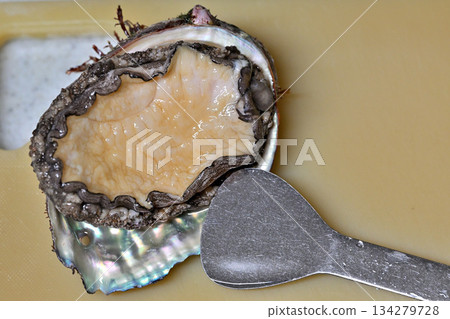 Abalone and shellfish Abalone and shellfish 134279728