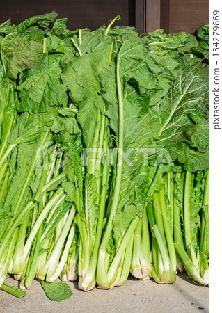 剛採摘的野澤菜葉子在門廊上漸漸蔫了。 134279869