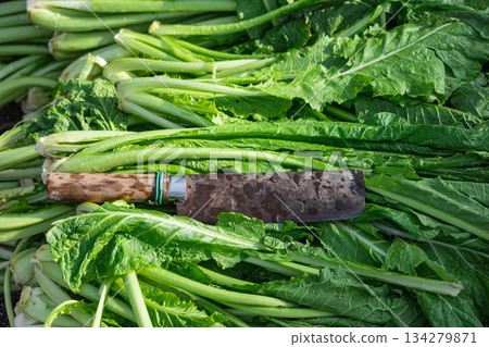 Vegetables and a vegetable knife just before washing Vegetables and a vegetable knife just before washing 134279871