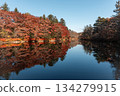 [Nagano Prefecture] Autumn leaves and the water reflection of Kumoba Pond in Karuizawa 134279915