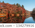 [Nagano Prefecture] Autumn leaves and the water reflection of Kumoba Pond in Karuizawa 134279916