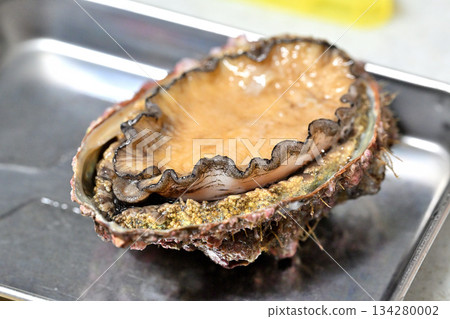 盛於托盤上的鮑魚（產自三陸縣） 134280002