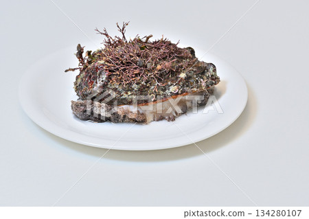 Abalone (from Sanriku) with seaweed on a white plate Abalone (from Sanriku) with seaweed on a white plate 134280107