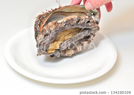 Abalone (from Sanriku) served on a white plate 134280109