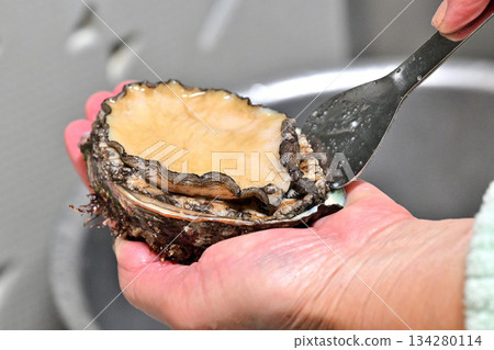 如何去除鮑魚（來自 Sanriku） 134280114