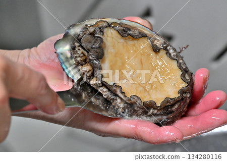 如何去除鮑魚(來自 Sanriku) 如何去除鮑魚(來自 Sanriku) 134280116