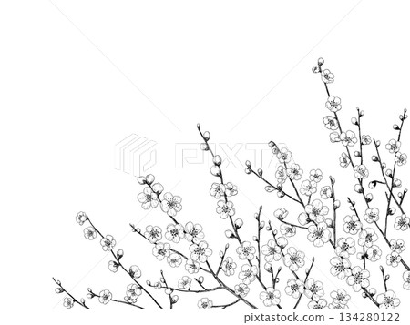 Plum branch line drawing Plum branch line drawing 134280122