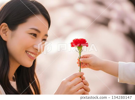 母親節禮物圖片：贈送康乃馨給女性時流露出的感激之情 134280147