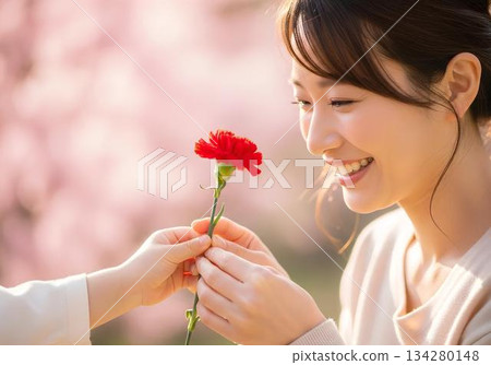 母親節禮物圖片：贈送康乃馨給女性時流露出的感激之情 134280148