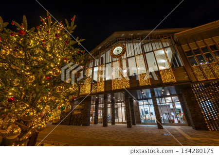 中輕井澤站北口前的枯掛露檯燈光秀 中輕井澤站北口前的枯掛露檯燈光秀 134280175