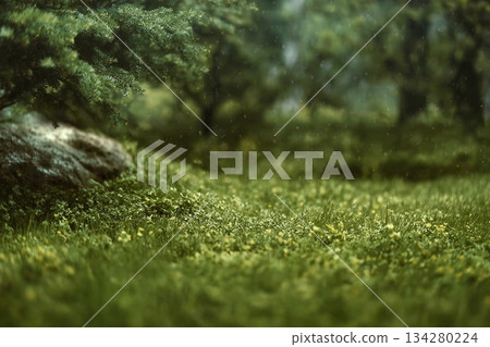 Beautiful green summer forest. Spring background, backdrop 134280224