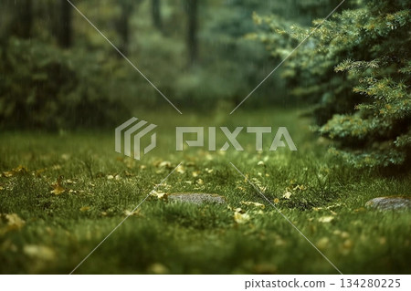 Beautiful green summer forest. Spring background, backdrop 134280225