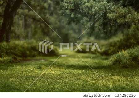 Beautiful green summer forest. Spring background, backdrop 134280226