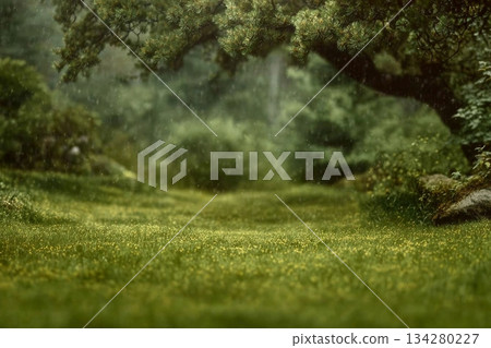 Beautiful green summer forest. Spring background, backdrop Beautiful green summer forest. Spring background, backdrop 134280227