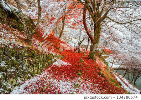 A walking path covered in snow and fallen leaves at "Kokoike Pond" in Gero (Gero City, Gifu Prefecture) A walking path covered in snow and fallen leaves at "Kokoike Pond" in Gero (Gero City, Gifu Prefecture) 134280574
