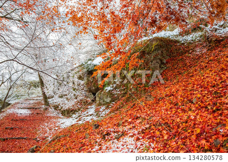 下呂市（岐阜縣下呂市）的「九池池」步道上覆蓋著積雪和落葉。 134280578
