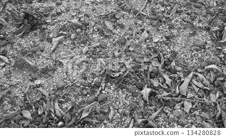 落葉倒在地上 134280828