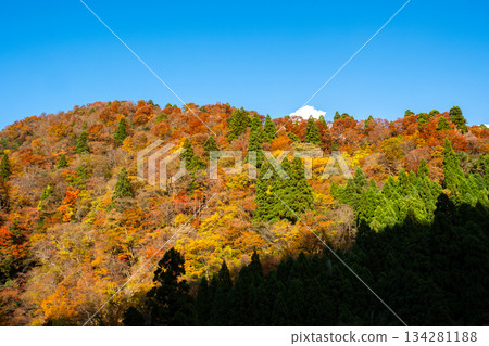 Autumn leaves in Ashizu Valley, Chizu Town, Yazu District, Tottori Prefecture Autumn leaves in Ashizu Valley, Chizu Town, Yazu District, Tottori Prefecture 134281188