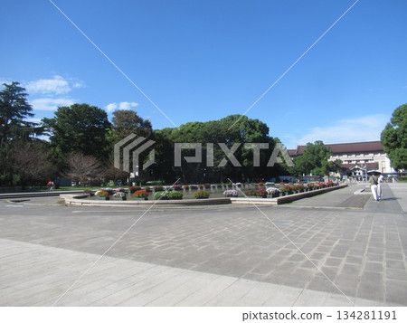 Ueno Park near the fountain square 134281191