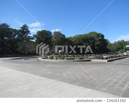 Ueno Park near the fountain square 134281192